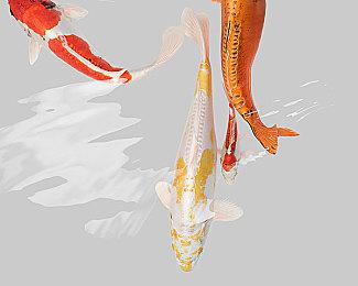 《影子战术：爱子的选择》即将登陆PS5和Xbox Series